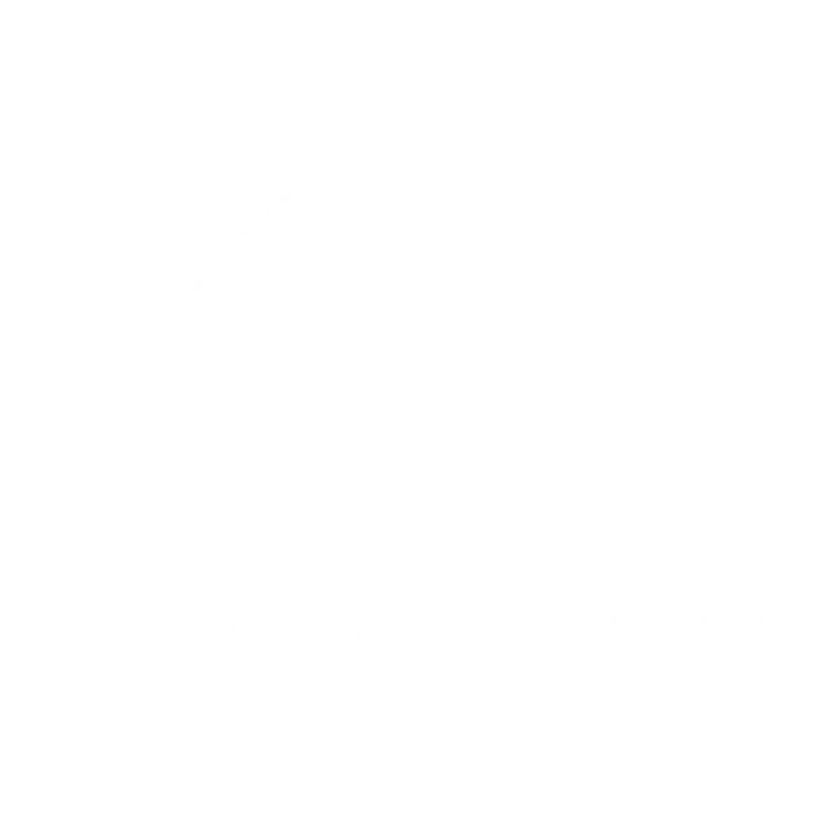 Drogasil